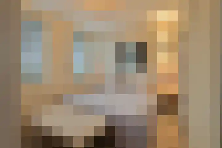 Willemspoort 69 's-Hertogenbosch thumbnail 48