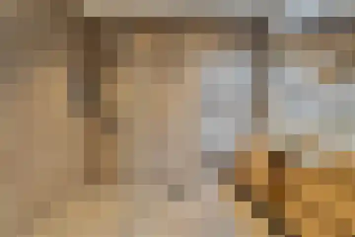 Willemspoort 69 's-Hertogenbosch thumbnail 51