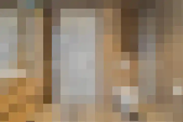 Willemspoort 69 's-Hertogenbosch thumbnail 52