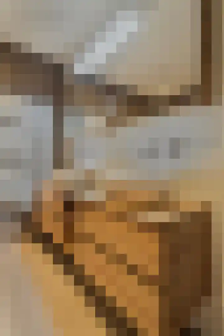 Willemspoort 69 's-Hertogenbosch thumbnail 53