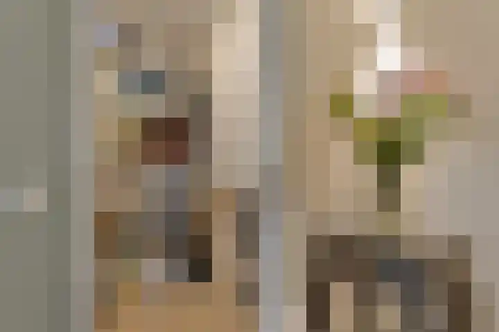 Willemspoort 69 's-Hertogenbosch thumbnail 56
