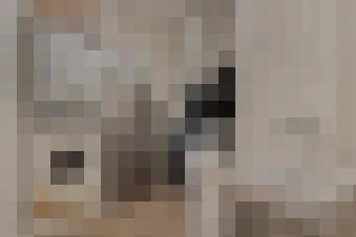 Willemspoort 69 's-Hertogenbosch thumbnail 57
