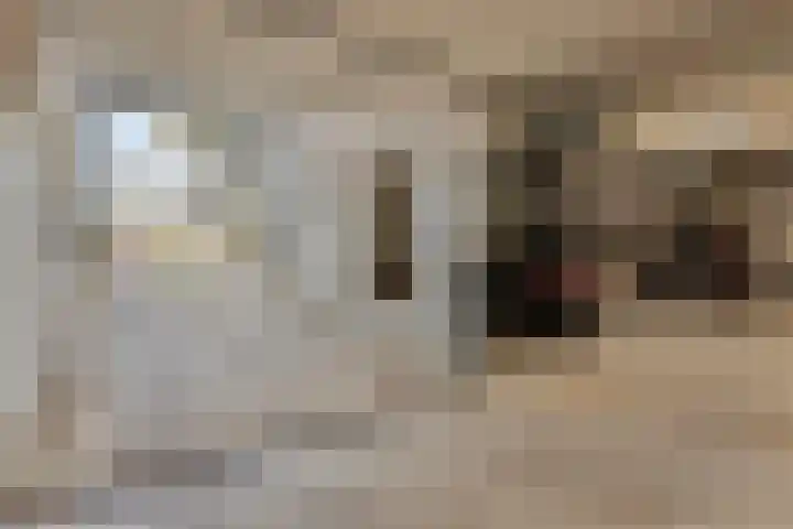 Willemspoort 69 's-Hertogenbosch thumbnail 60