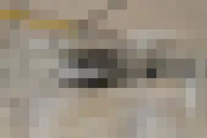 Willemspoort 69 's-Hertogenbosch thumbnail 61