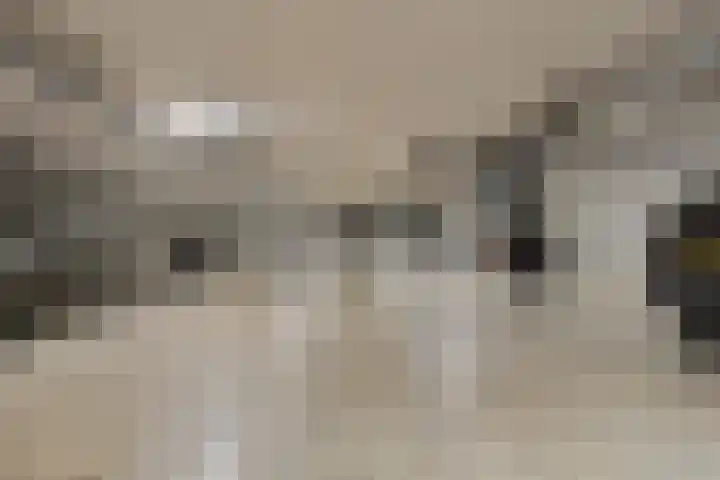 Willemspoort 69 's-Hertogenbosch thumbnail 62