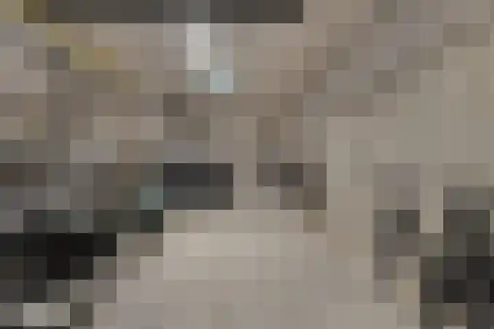 Willemspoort 69 's-Hertogenbosch thumbnail 63