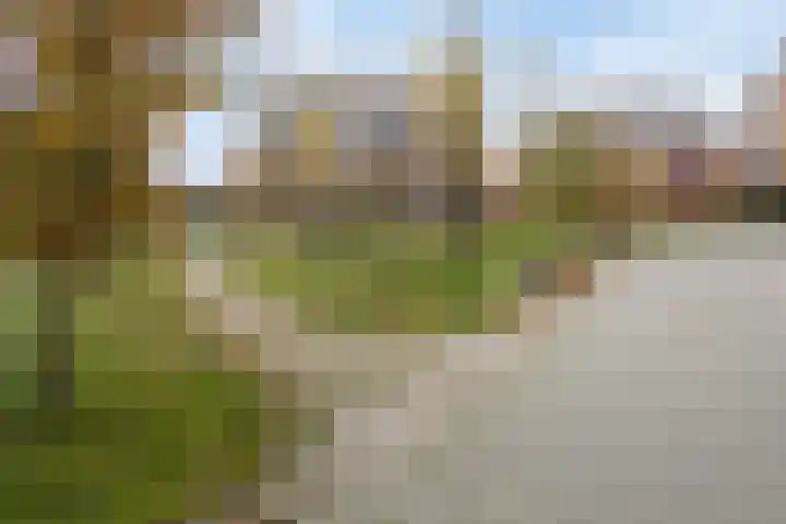 Willemspoort 69 's-Hertogenbosch thumbnail 64