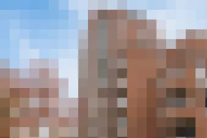 Willemspoort 69 's-Hertogenbosch thumbnail 66