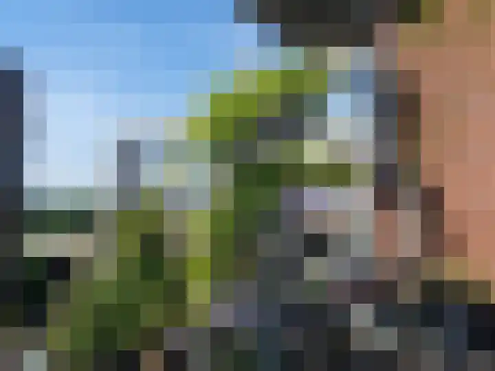 Willemspoort 69 's-Hertogenbosch thumbnail 70