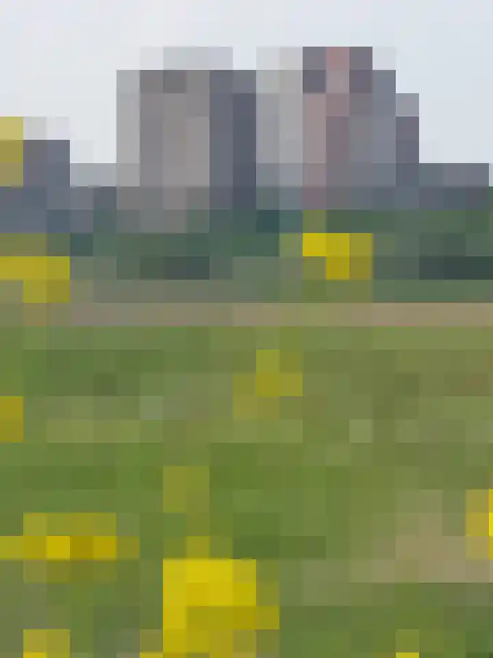 Willemspoort 69 's-Hertogenbosch thumbnail 72