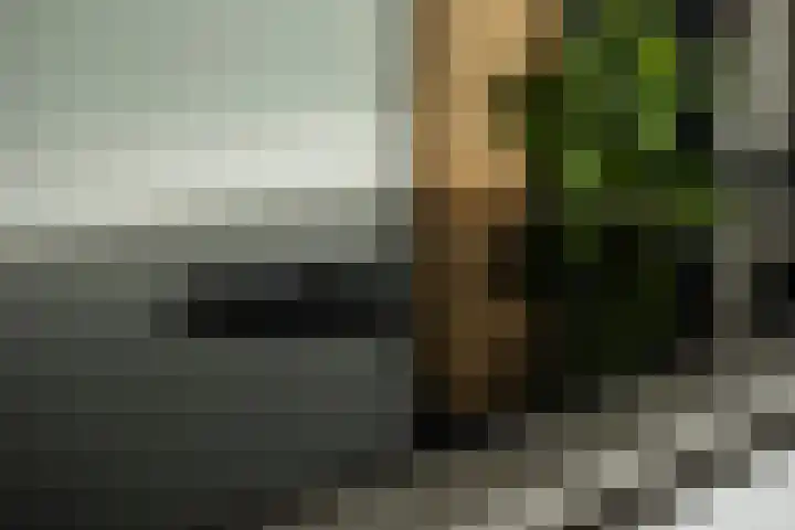 Willemspoort 73 's-Hertogenbosch thumbnail 12