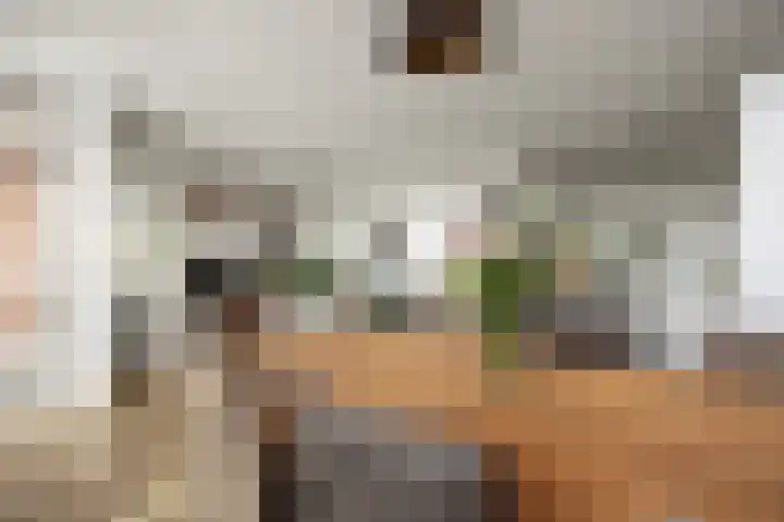 Willemspoort 73 's-Hertogenbosch thumbnail 15