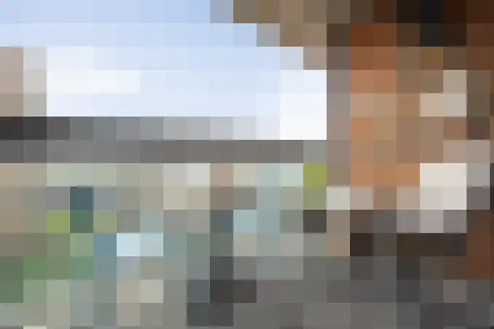 Willemspoort 73 's-Hertogenbosch thumbnail 17