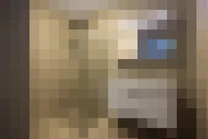 Willemspoort 73 's-Hertogenbosch thumbnail 27