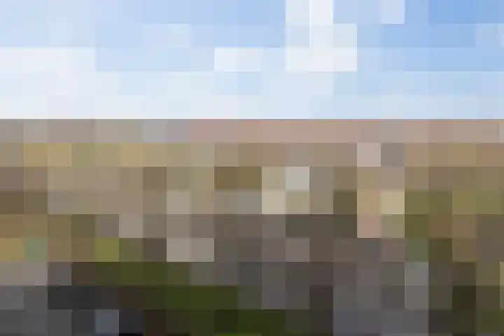 Willemspoort 73 's-Hertogenbosch thumbnail 32