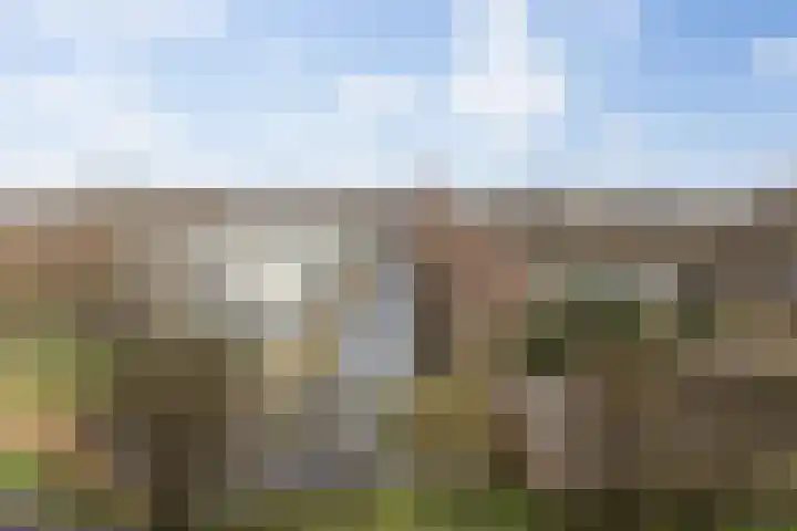 Willemspoort 73 's-Hertogenbosch thumbnail 33