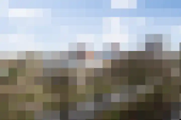 Willemspoort 73 's-Hertogenbosch thumbnail 34