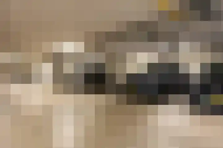 Willemspoort 73 's-Hertogenbosch thumbnail 37