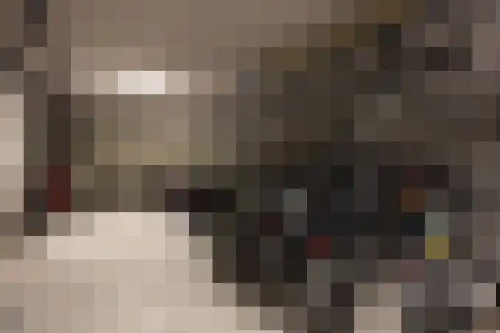 Willemspoort 73 's-Hertogenbosch thumbnail 39