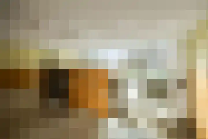 Willemspoort 73 's-Hertogenbosch thumbnail 4