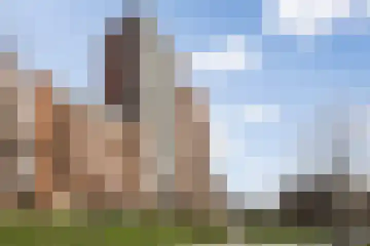 Willemspoort 73 's-Hertogenbosch thumbnail 42