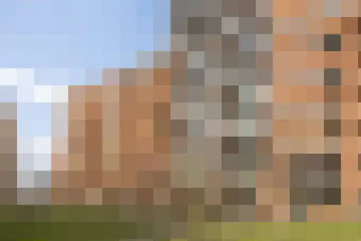 Willemspoort 73 's-Hertogenbosch thumbnail 43