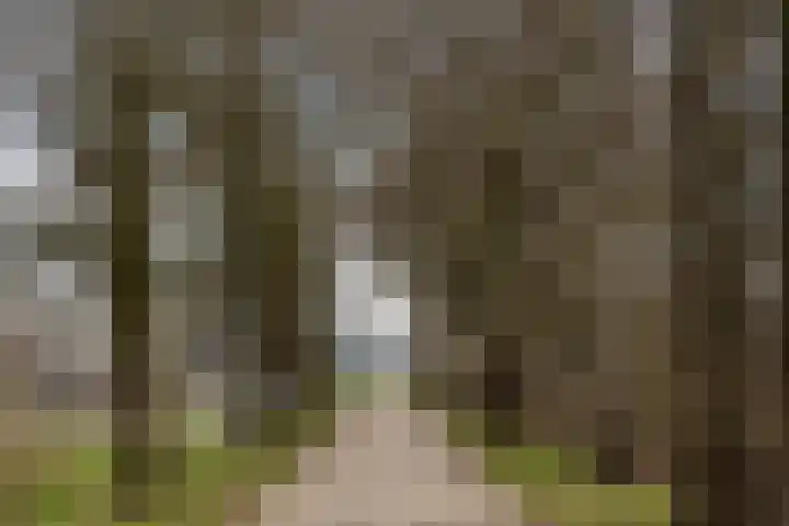 Willemspoort 73 's-Hertogenbosch thumbnail 49