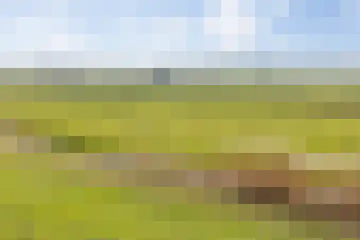 Willemspoort 73 's-Hertogenbosch thumbnail 51