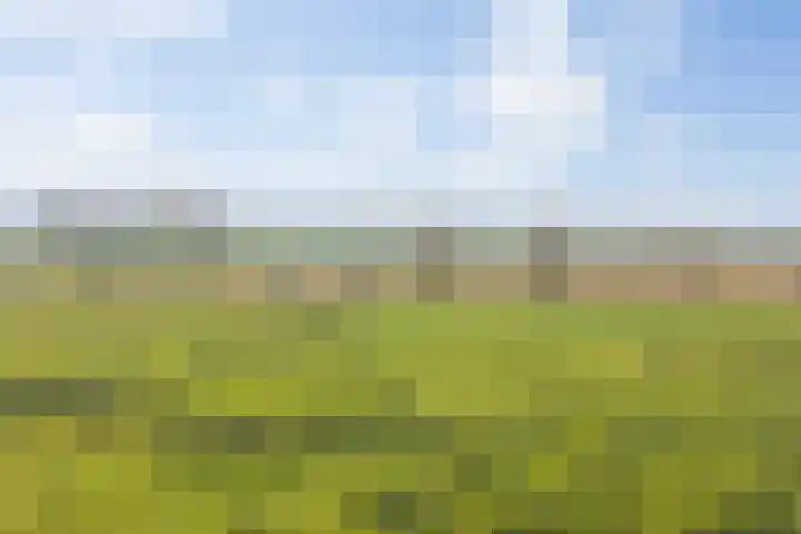 Willemspoort 73 's-Hertogenbosch thumbnail 52