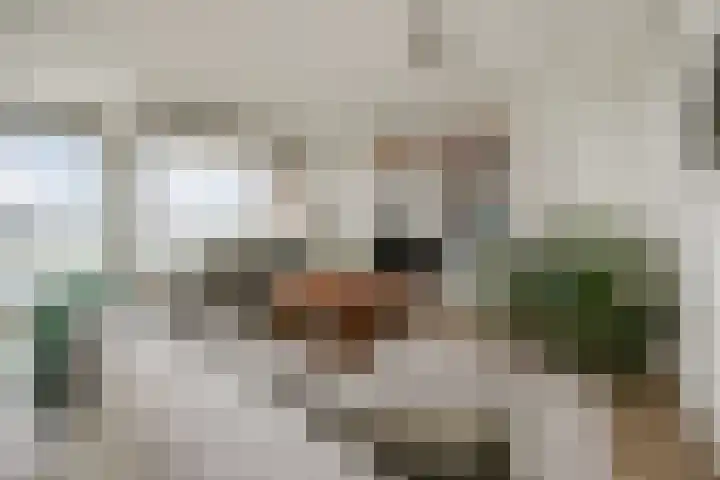 Willemspoort 73 's-Hertogenbosch thumbnail 7