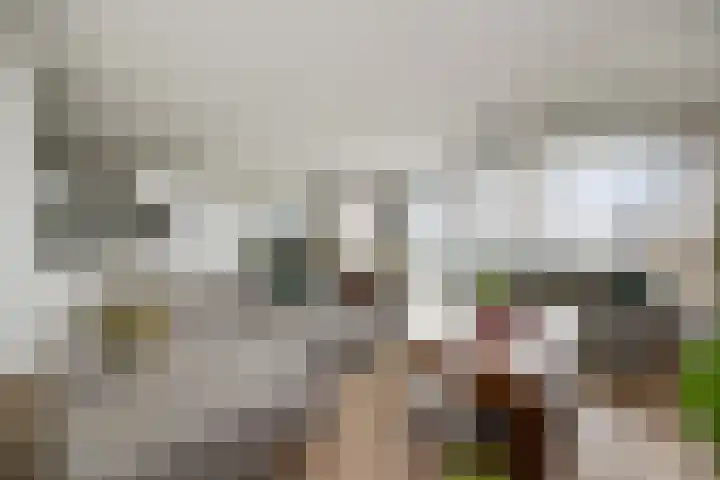Willemspoort 73 's-Hertogenbosch thumbnail 9