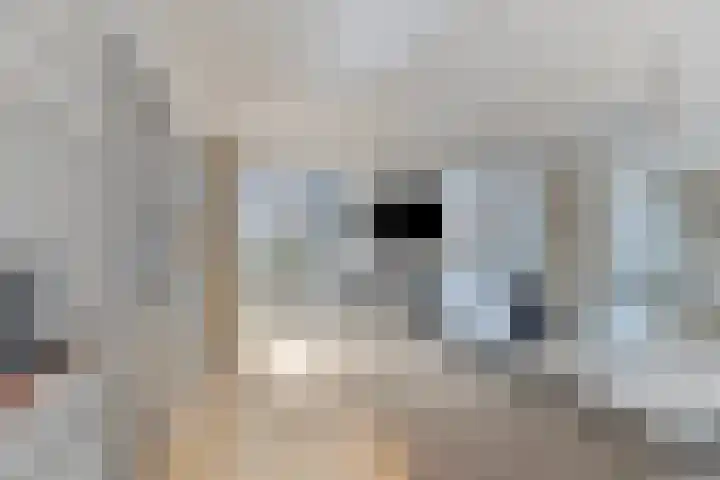 Willemspoort 74 's-Hertogenbosch thumbnail 11