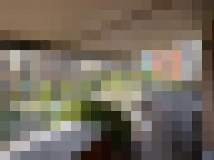 Willemspoort 74 's-Hertogenbosch thumbnail 13