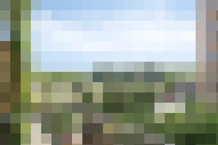 Willemspoort 74 's-Hertogenbosch thumbnail 15
