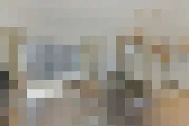 Willemspoort 74 's-Hertogenbosch thumbnail 17