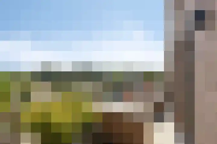 Willemspoort 74 's-Hertogenbosch thumbnail 20