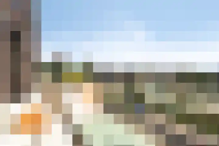 Willemspoort 74 's-Hertogenbosch thumbnail 21