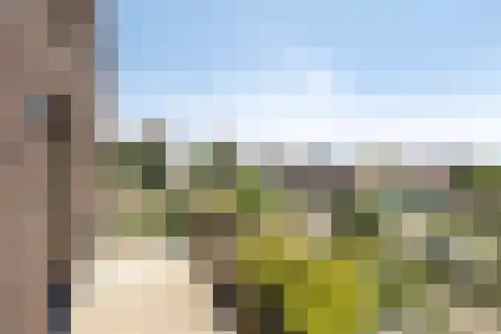 Willemspoort 74 's-Hertogenbosch thumbnail 22