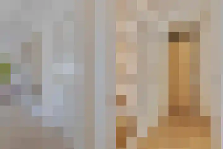 Willemspoort 74 's-Hertogenbosch thumbnail 5