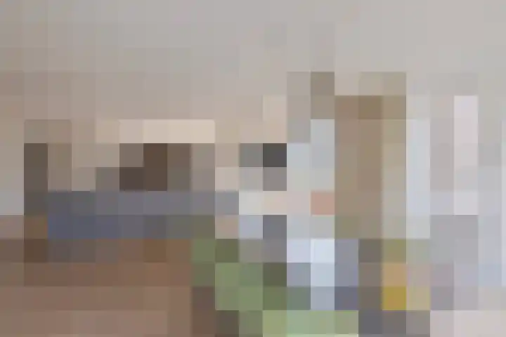 Willemspoort 74 's-Hertogenbosch thumbnail 8