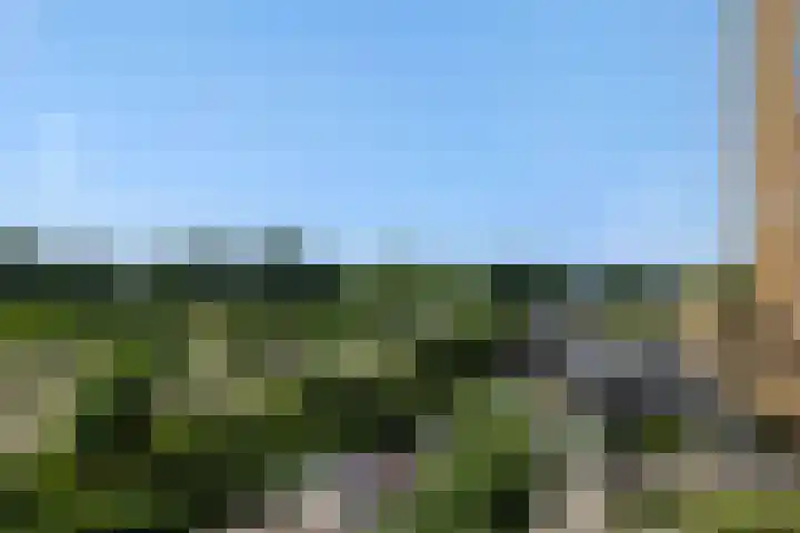 Willemspoort 80 's-Hertogenbosch thumbnail 11