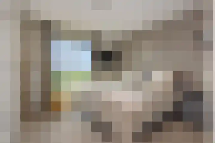 Willemspoort 80 's-Hertogenbosch thumbnail 21