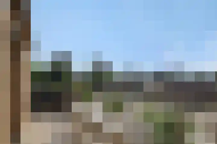 Willemspoort 80 's-Hertogenbosch thumbnail 8