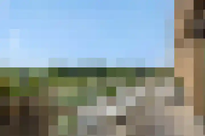 Willemspoort 80 's-Hertogenbosch thumbnail 9