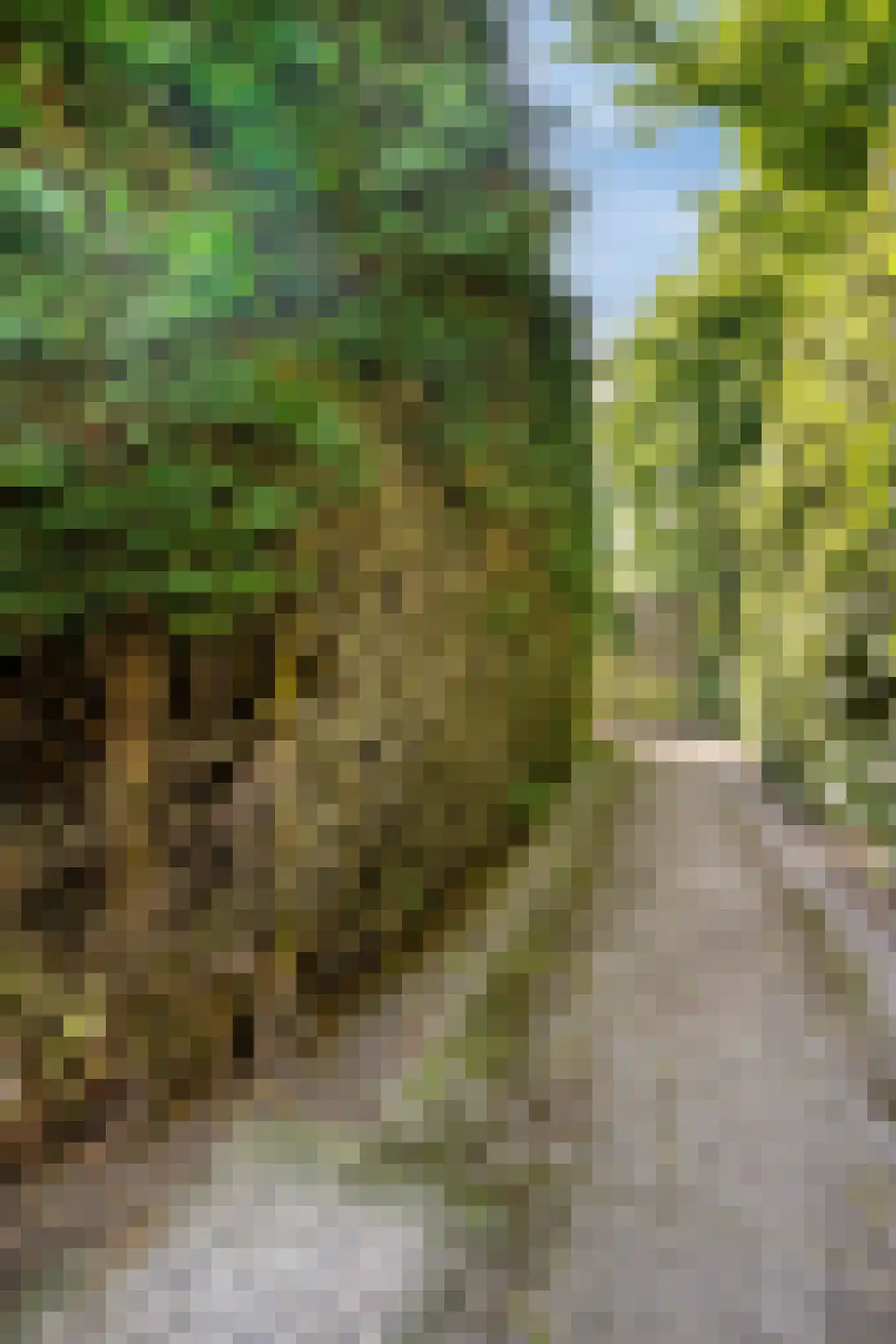 Willemsstraat 49 Kloetinge thumbnail 29