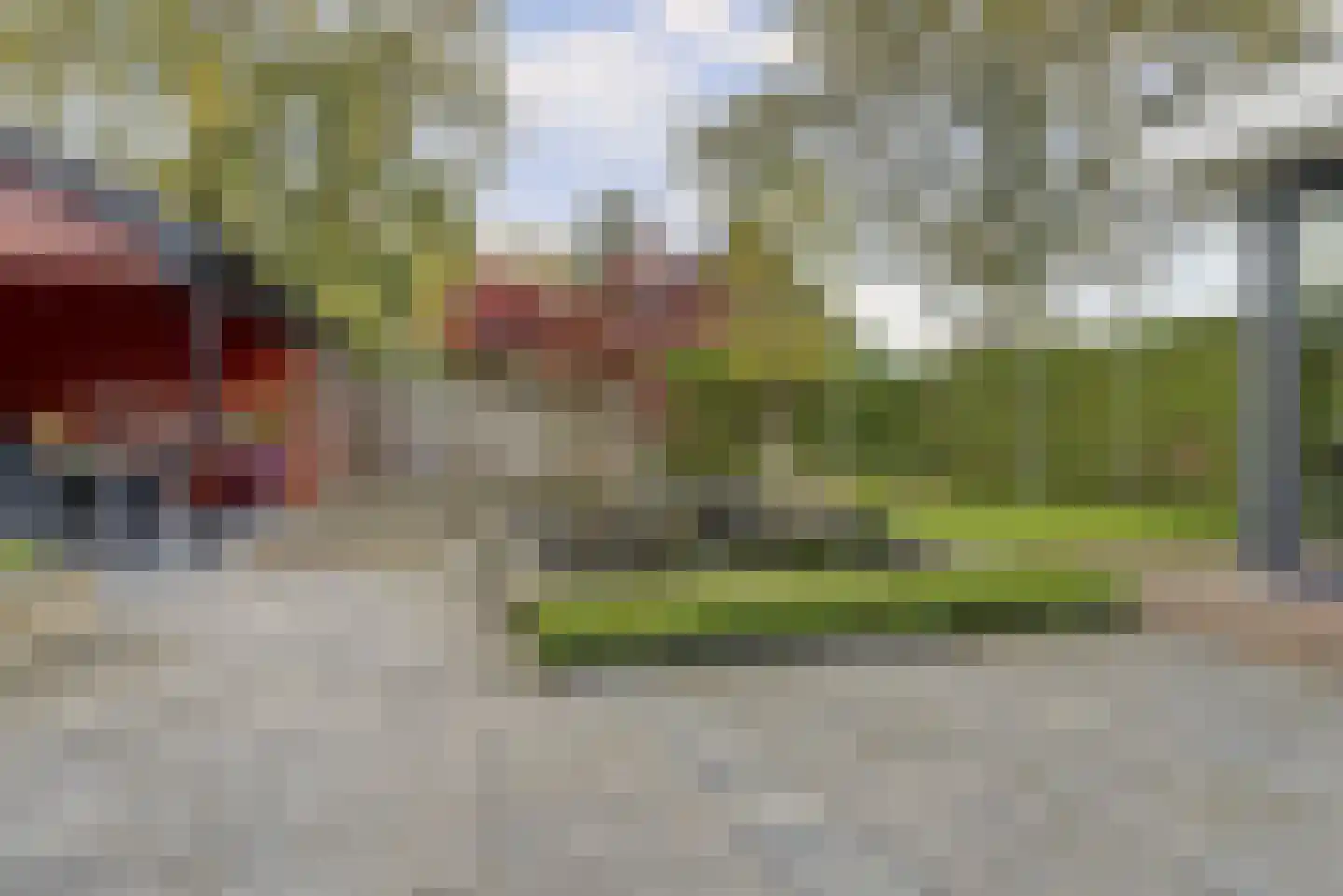Willemsstraat 59 Elst thumbnail 4