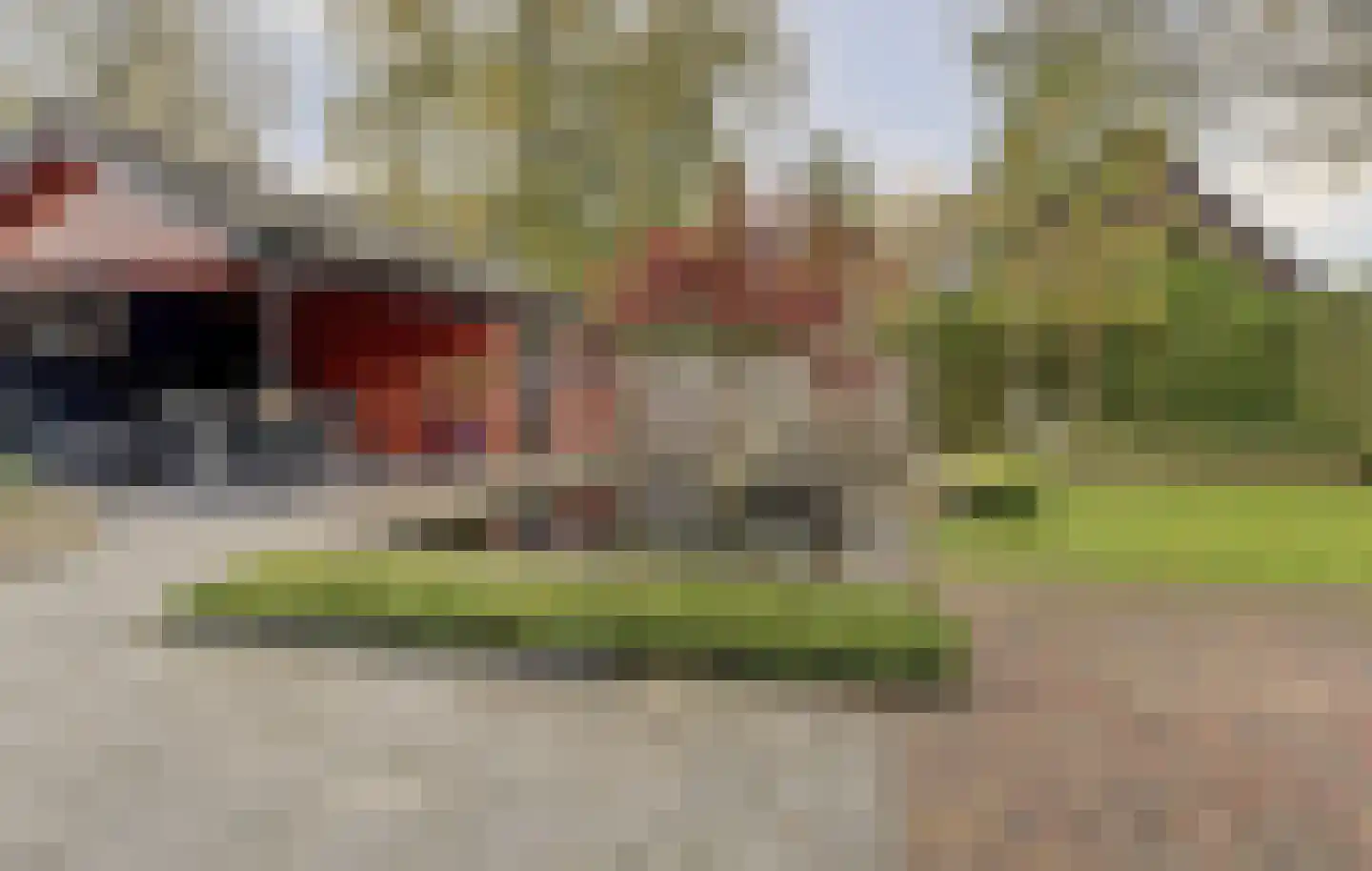 Willemsstraat 59 Elst thumbnail 44
