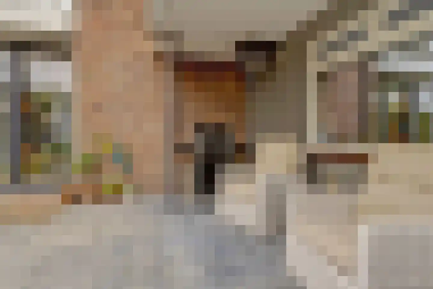 Willemsstraat 59 Elst thumbnail 46