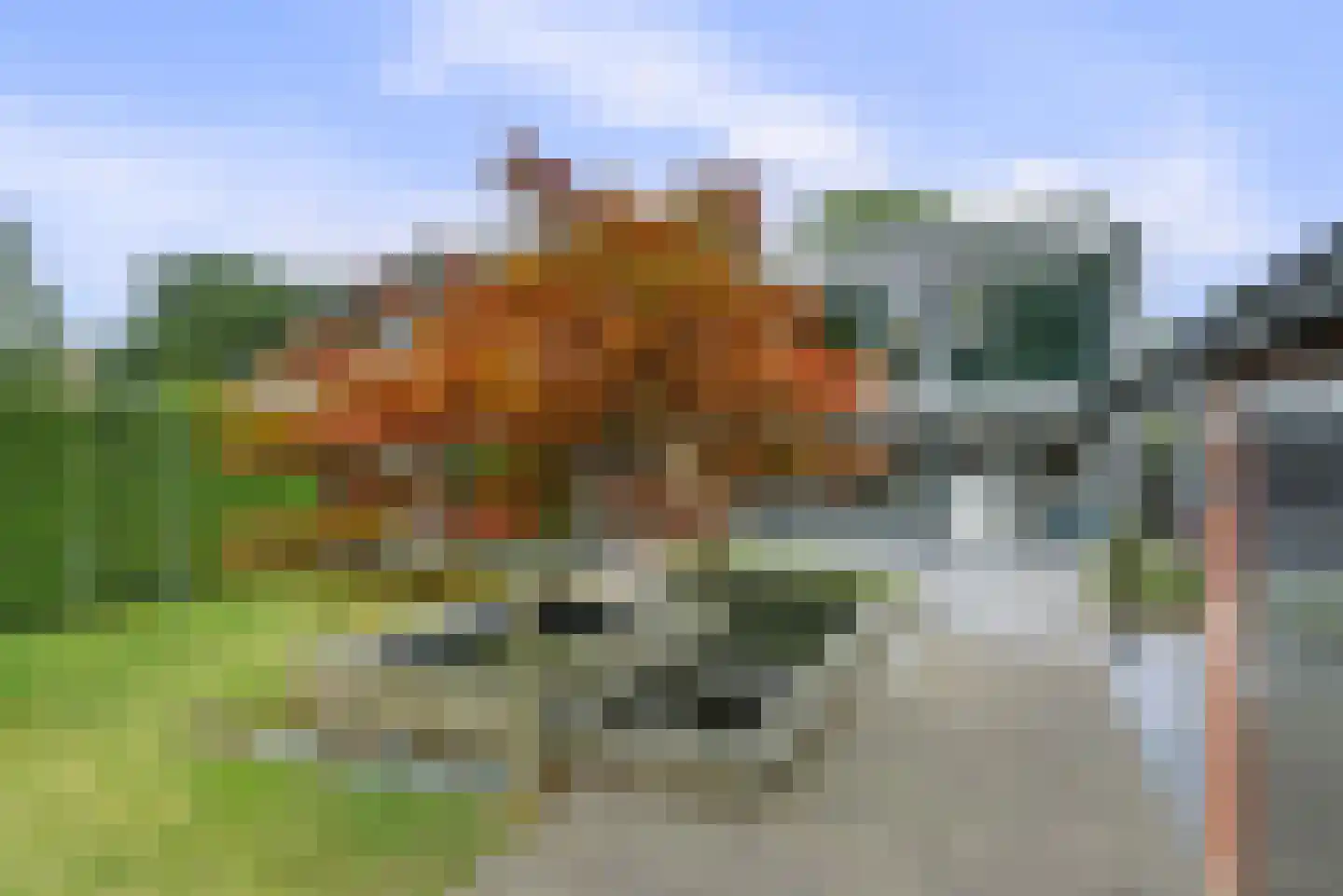Willemsstraat 59 Elst thumbnail 5