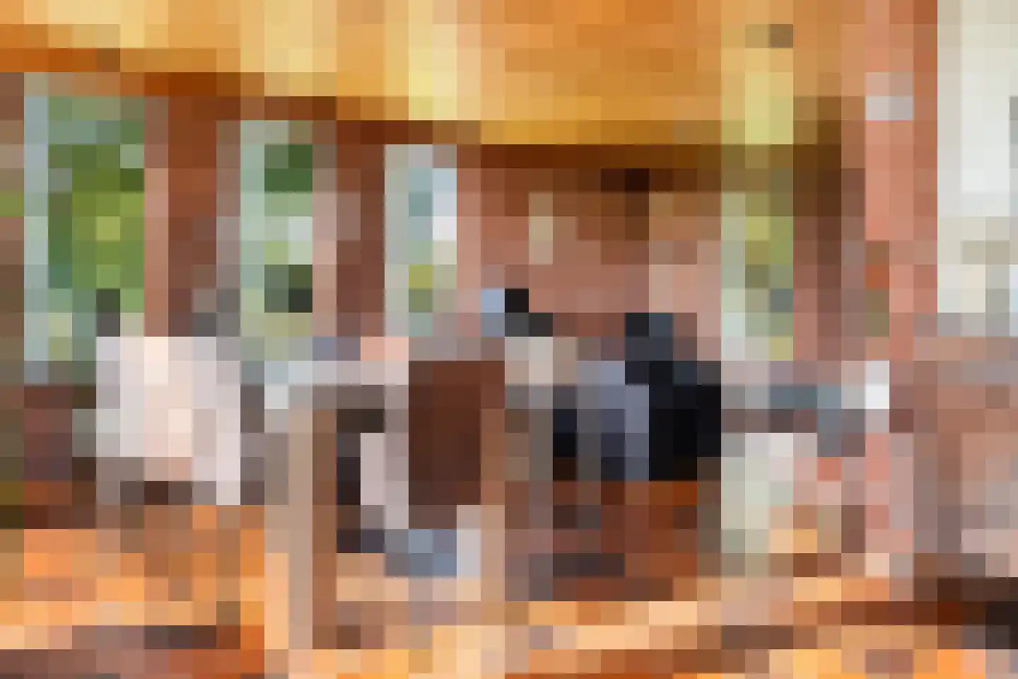 Willemstad 1 Appelscha thumbnail 12